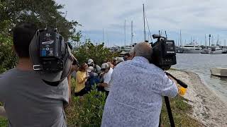 Manatee Wildlife Rescue  Bayboro Harbor [upl. by Semreh]