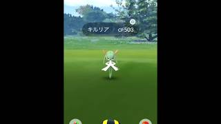 【Pokémon GO Excellent Throw】281 キルリア Kirlia [upl. by Aday541]