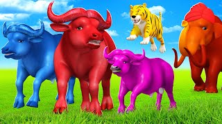 Mammoth and Tiger Attacks Three Magical Color Buffaloes  Mammoth Elephant Funny Animals Fights [upl. by Asseniv]