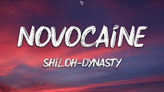 Shiloh Dynasty  Novocaine Lyrics [upl. by Forland]