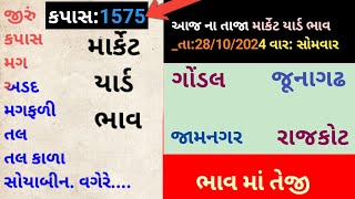 Aaj na bajar bhav 28102024 junagadh marketing yard na bhav  amreli market yard  gondal jamnagar [upl. by Ellicul]