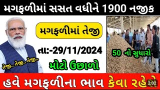 magfali na bhav  29112024  મગફળી ના ભાવ2024  Information about cotton crop price  Commodity [upl. by Derron]