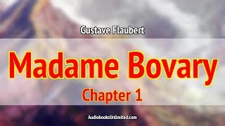 Madame Bovary Audiobook Chapter 1 with subtitles [upl. by Maud23]