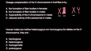 Dosage compensation of X chromosome [upl. by O'Brien]