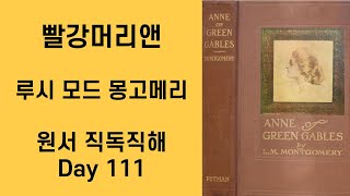 Day 111 빨강머리앤 Anne of Green Gables 원서직독직해 영어공부루틴 원서읽기 [upl. by Lurline453]