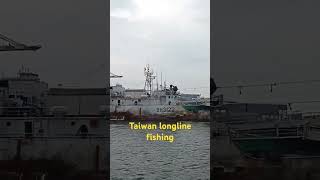 THE TAIWAN LONGLINE FISHING buhaymandaragat seafood [upl. by Akinirt]