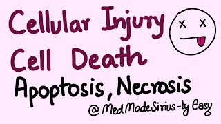 Cellular Injury and Cell Death ApoptosisNecrosis and Types of Necrosis [upl. by Enelyar239]