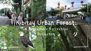 MAN 2 KOTA SUKABUMIRAYA amp JESIKA KIBITAY URBAN FOREST A SUSTAINABLE TERRESTRIAL ECOSYSTEM [upl. by Eidas]