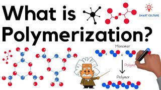 What is Polymerization [upl. by Abrahams884]