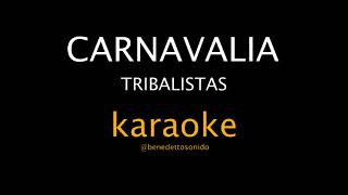 KARAOKE  Carnavalia  Tribalistas [upl. by Rimas]