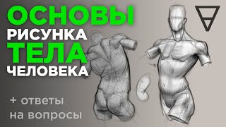 Основы рисунка тела человека С чего начать изучение анатомии [upl. by Melia356]