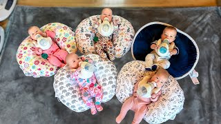 How We Feed Five Babies  Freels Quintuplets  Goat Milk Formula Our 27 Week Preemies Are Thriving [upl. by Knuth]