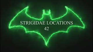 Gotham Knights 42 Strigidae Locations [upl. by Erreipnaej241]