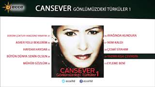 Yazımı Kışa Çevirdin  Cansever [upl. by Adnorhs347]