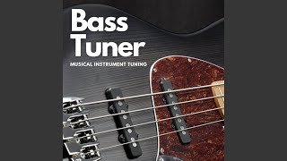 Bass Tuner [upl. by Faxon]