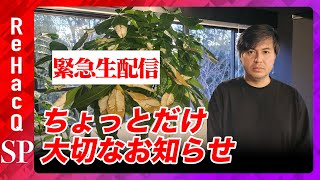 【緊急生配信】ちょっとだけ大切なお知らせ…兵庫県知事選に関して【神戸新聞さん…ランチしましょう】 [upl. by Stockmon]