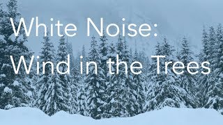 Wind in the Trees  Sounds for Relaxing Focus or Deep Sleep  Nature White Noise  8 Hour Video [upl. by Llimaj616]