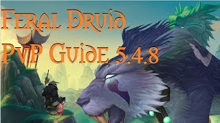 WoW 548 Feral Druid PvP Guide  TalentsGlyphsMacrosRotationGemsReforgeReforging 54 [upl. by Ayota]