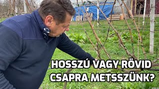 MIÉRT PREFERÁLOM ÉN A HOSSZÚ CSAPRA METSZÉST [upl. by Alithia]