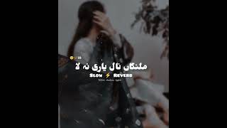 favourite song🌸🥰viralvideo saraiki slowedandreverb saraikisong [upl. by Waly677]