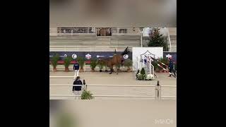 Istanbul du Cedre  3yo by Casall x Baloubet du Rouet  Stallion Qualification Saint Lo 2021 [upl. by Rehnberg]