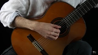 Ludovico Einaudi  I Giorni Guitar Cover [upl. by Peta]