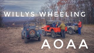 Vintage Willys Jeeps at AOAA [upl. by Hacceber]