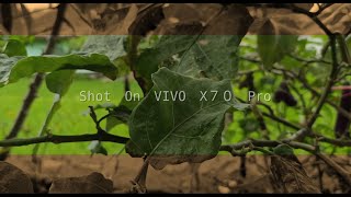 Cinematic Video VIVO X70 Pro Iphone 12 Samsung Galaxy Note 20 Ultra [upl. by Alletnahs]