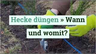 Hecke düngen » Wann und womit [upl. by Eward]