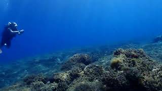 DALIŞ TURU  DIVING KUSADASI [upl. by Ariada]