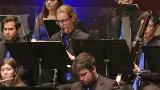 Brahms Symphony Nr1  2nd Movement Clarinet Solo [upl. by Baylor874]