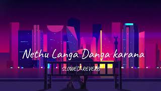 Netha Langa Danga Karana  Kaveesha Kaviraj  SlowedReverb  Abhiya Lofi [upl. by Tomas]