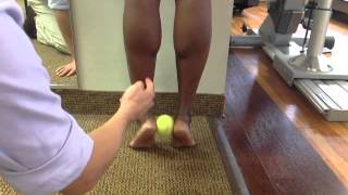 Posterior tibialis strength closed chain double limb [upl. by Neiv]