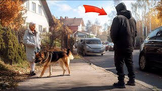 Schläger Griffen eine Alte Frau an Ohne zu Wissen Dass Ihr Ehemaliger Polizeihund Bereit War [upl. by Lebasiairam325]