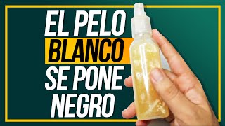 ¡Adiós Canas y Hola Cabello Negro Poderoso Tónico Para Un Pelo De Ensueño [upl. by Marta]