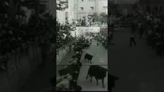 Cornada Encierro Histórico San Fermín 1963 [upl. by Nylarak]