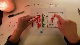 ASMR Trying to Understand and then Explain the Basics of NFL Football  Soft Spoken [upl. by Irme909]