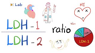 LDH1 to LDH2 Ratio and the flipped LDH  Lactate Dehydrogenase and Heart Attacks ❤️‍🩹 [upl. by Nilauqcaj789]