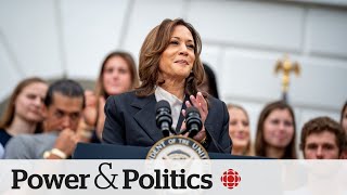 The risk for Democrats in choosing Kamala Harris as their nominee  Power amp Politics [upl. by Bundy]