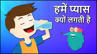 हमें प्यास क्यों लगती है  Why Do We Drink Water In Hindi  DrBinocs Show  Importance Of Water [upl. by Goldman]