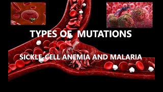 MUTATIONS SickleCell Anemia And Malaria [upl. by Anoel755]