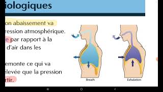 UE1UE2  Rappel sur la Physiologie Respiratoire Hematose  Reflex de Hering  Transport doxygène [upl. by Olivier]