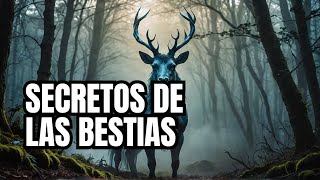 Bestias Míticas Seres Legendarios y sus Misterios Ocultos [upl. by Lozano572]