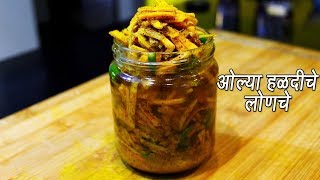 ओल्या हळदीचे लोणचे  Olya Haldiche lonche  Fresh Turmeric Pickle  MadhurasRecipe  Ep  279 [upl. by Yehsa]