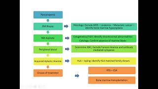 HYPOCELLULAR MARROW WITH A DIFFERENT CAUSEKKCTH [upl. by Laidlaw]