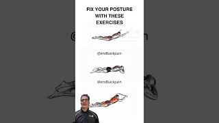 Exercicios de lombar  Core Exercises [upl. by Koralle]