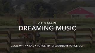 DREAMING MUSIC Morgan Mare For Sale [upl. by Haisa]