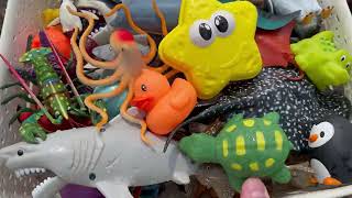 Megans World Sea Animal Toys [upl. by Toomay]