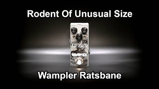 Wampler Ratsbane ReviewPlaythrough [upl. by Novello956]