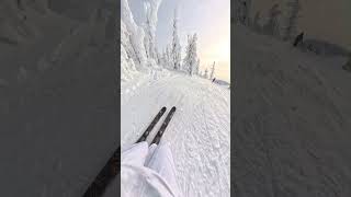 Literally the Best Ski POV ANGLE [upl. by Lotz]